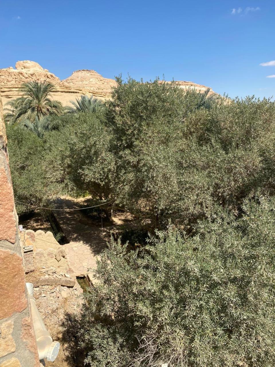 Отель Fada Morgana Siwa Oasis Экстерьер фото