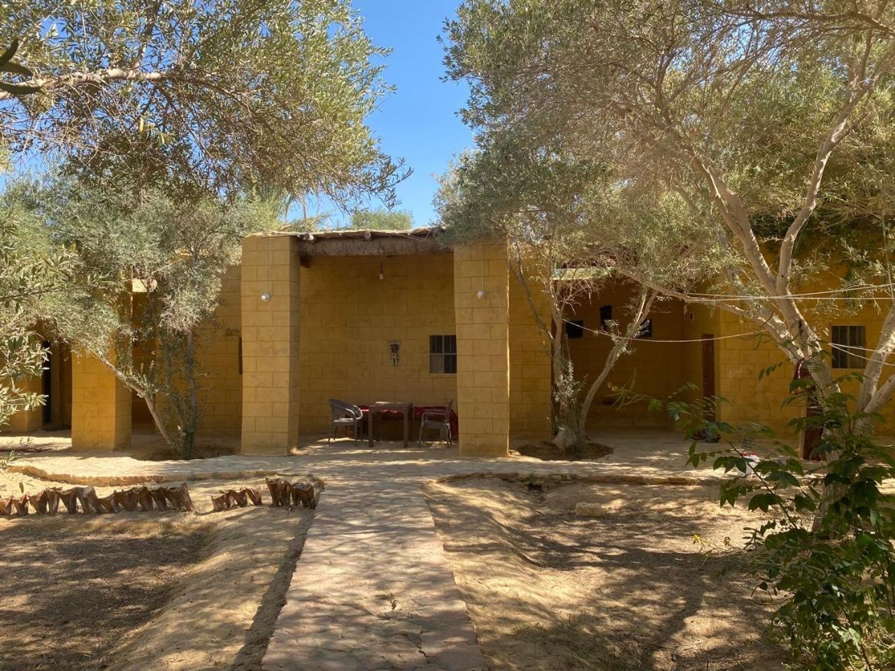 Отель Fada Morgana Siwa Oasis Экстерьер фото